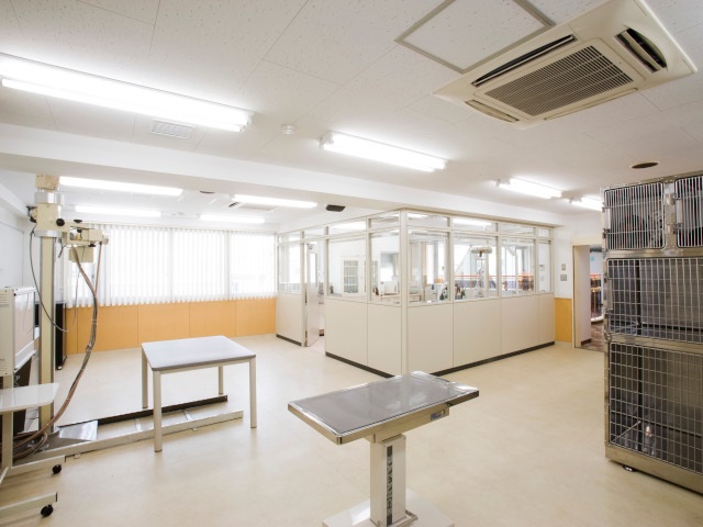 吉田学園動物看護専門学校の施設・設備
