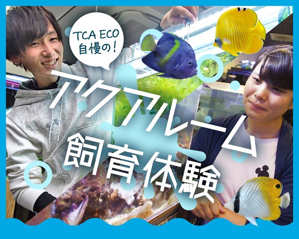 東京ECO自慢のアクアルーム飼育体験／ＴＣＡ東京ＥＣＯ動物海洋専門学校