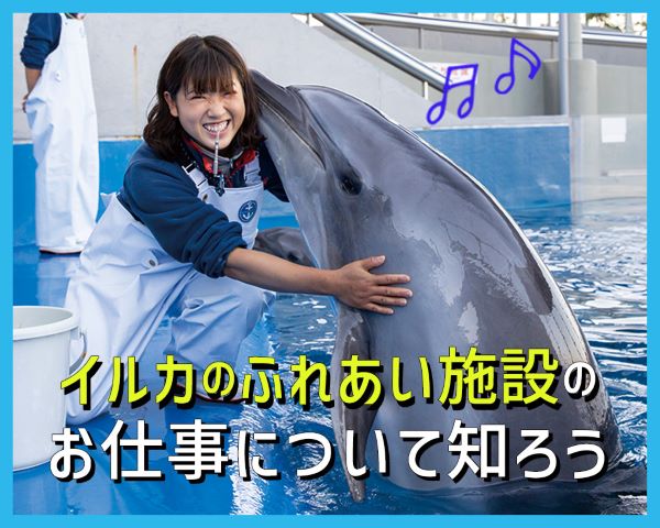 卒業生から聞くイルカのふれあい施設のお仕事について／ＴＣＡ東京ＥＣＯ動物海洋専門学校