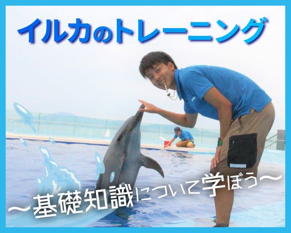 イルカのトレーニング～基礎知識について学ぼう～／ＴＣＡ東京ＥＣＯ動物海洋専門学校