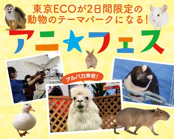 アニ★フェス／ＴＣＡ東京ＥＣＯ動物海洋専門学校