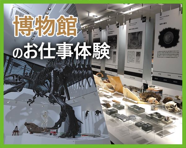 博物館のお仕事体験　東京ECO博物館で実践してみよう！／ＴＣＡ東京ＥＣＯ動物海洋専門学校