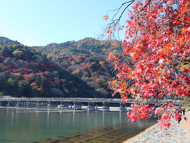 京都・嵐山にあるキャンパス。歴史と文化、自然に囲まれた環境でアート・デザインを学ぶ。
