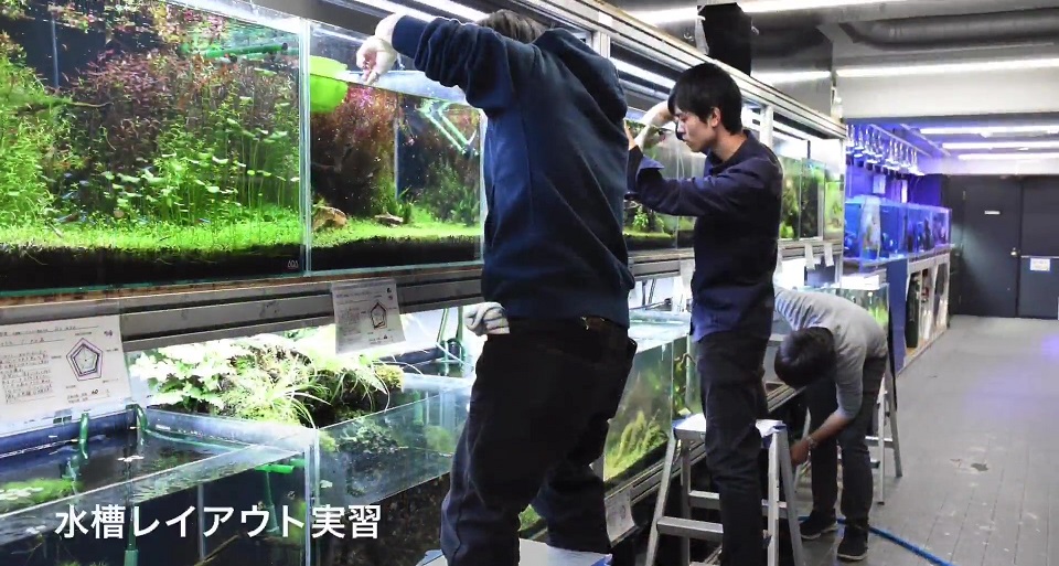 大阪ＥＣＯ動物海洋専門学校の紹介動画