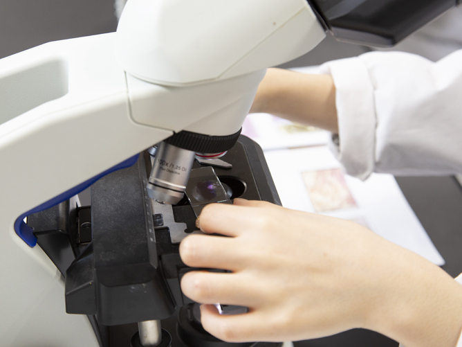 主に臨床検査学科で使用する顕微鏡についても実習に必要な十分な数を用意しています。